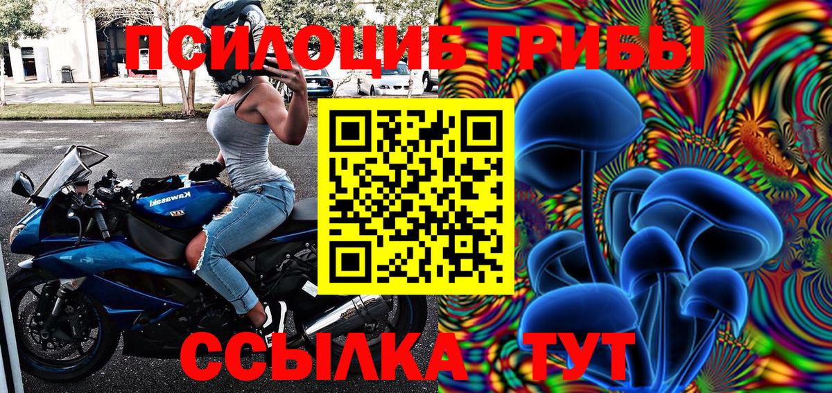 Галлюциногенные грибы Psilocybine cubensis  Вход с VPN  Котельники  Галлюциногенные грибы Psilocybe 